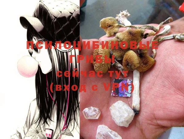 МДМА Нея