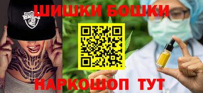 гашик Бийск