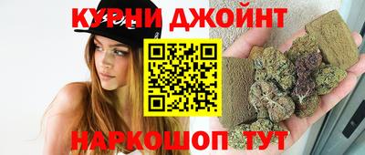 гашик Бийск