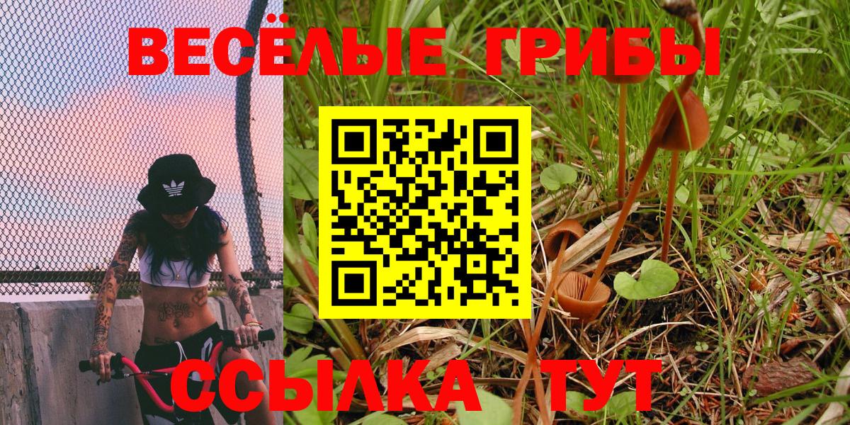 Галлюциногенные грибы мицелий Барабинск